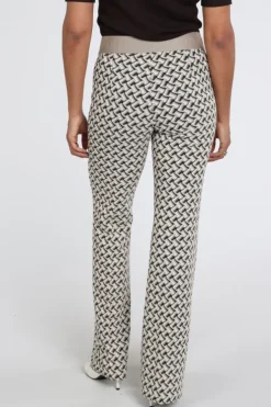Cambio Francis Broek Bruin