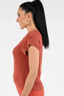 Geisha 64082-70 Pull korte mouw Roest