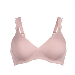 Rosa Faia 5631 Softbeha roze